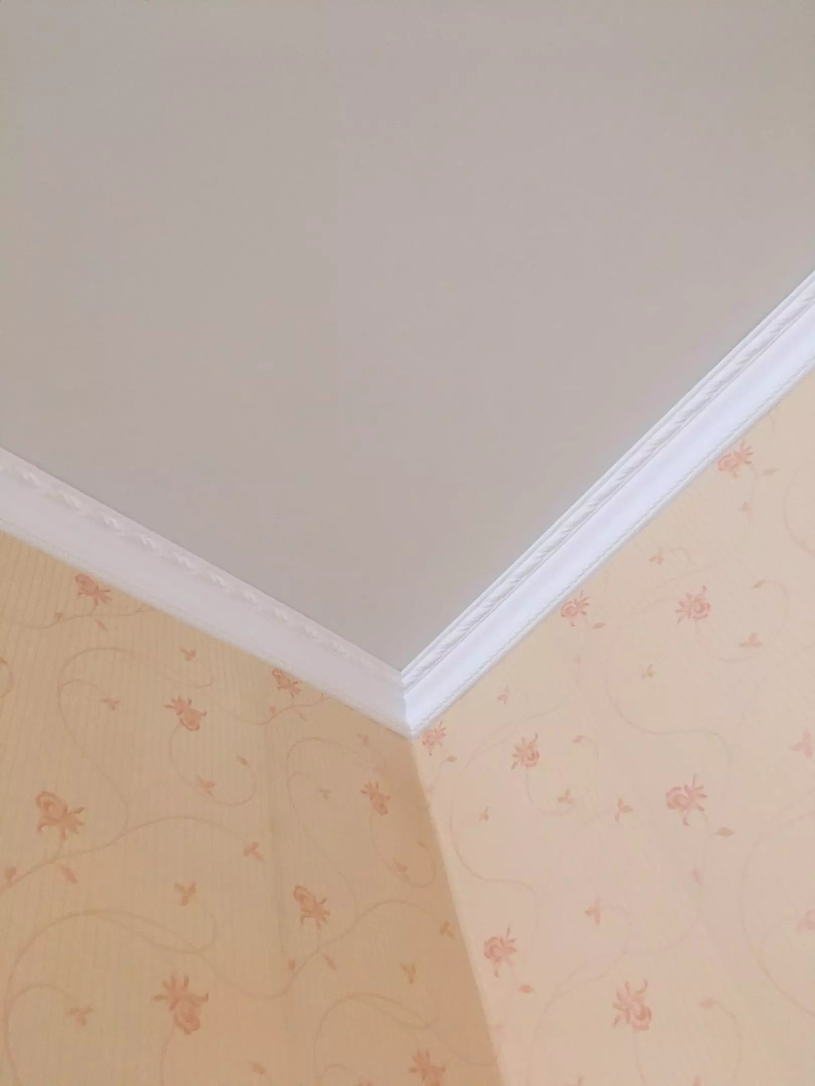 Новороссийск, Анапское шоссе, 15д, фото 3