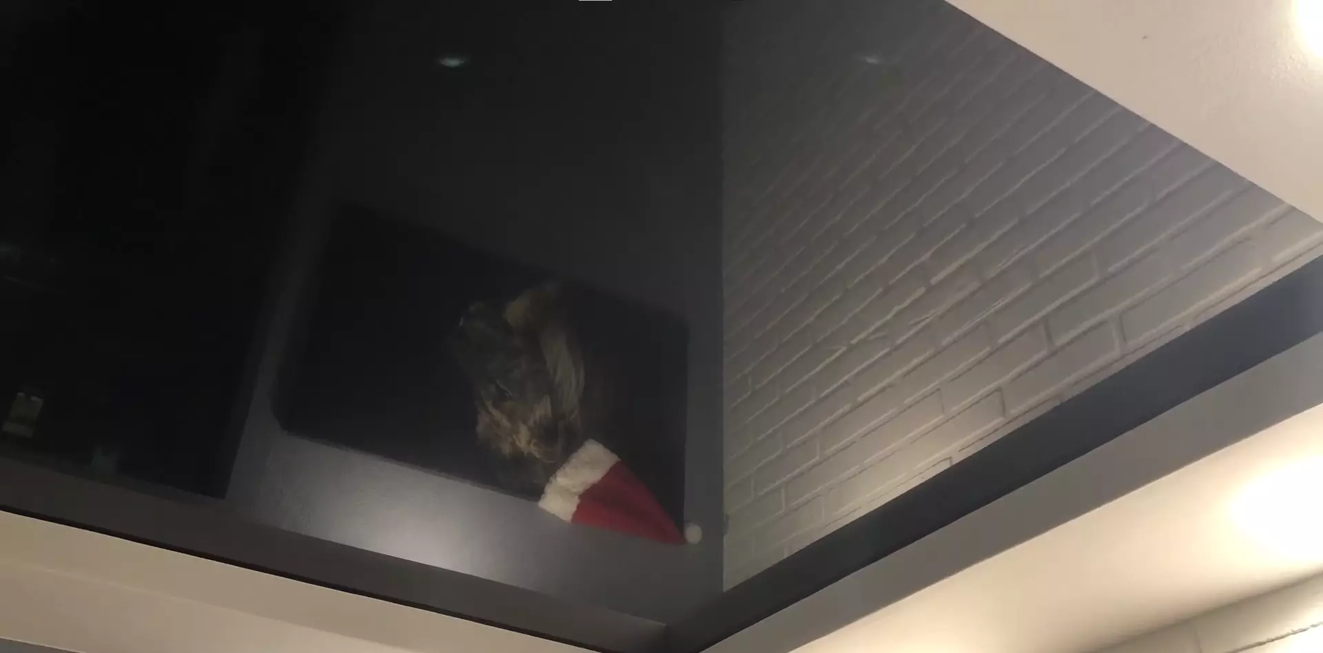 Симферополь, Чехова, 68, фото 3